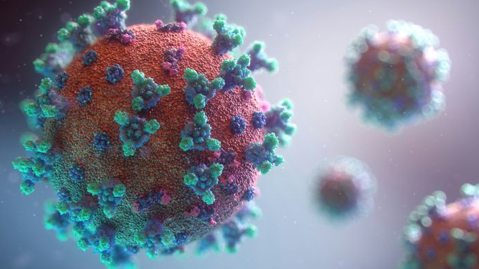 Seizures and Epilepsy Occur More Often After COVID-19 than After the Flu