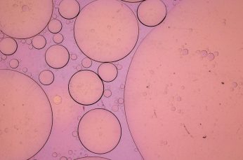 Early Use of Nicotinamide Reduces the Risk of Recurrent Skin Cancer